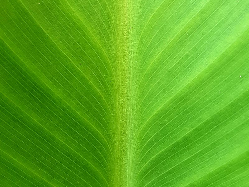 Business intelligence reports